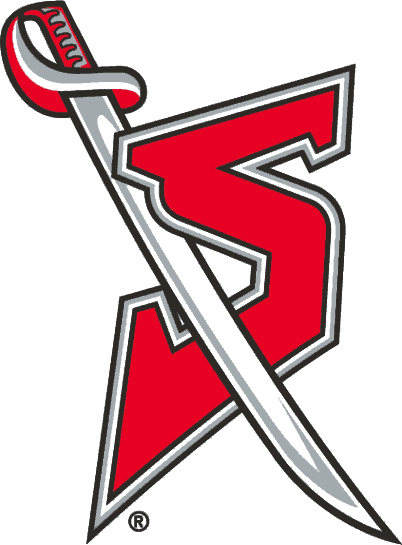 Buffalo Sabres 1996-1999 Alternate Logo iron on transfers for fabric